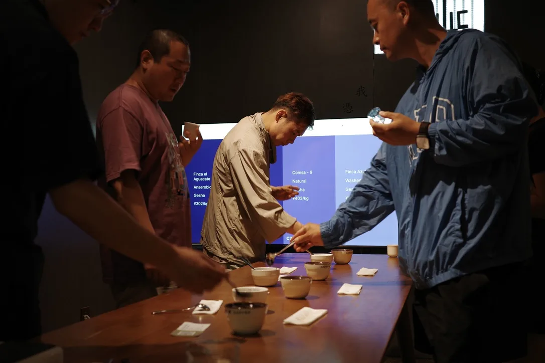 The Art of Cupping: How We Ensure Every Bean Meets Our Standard - photo 6