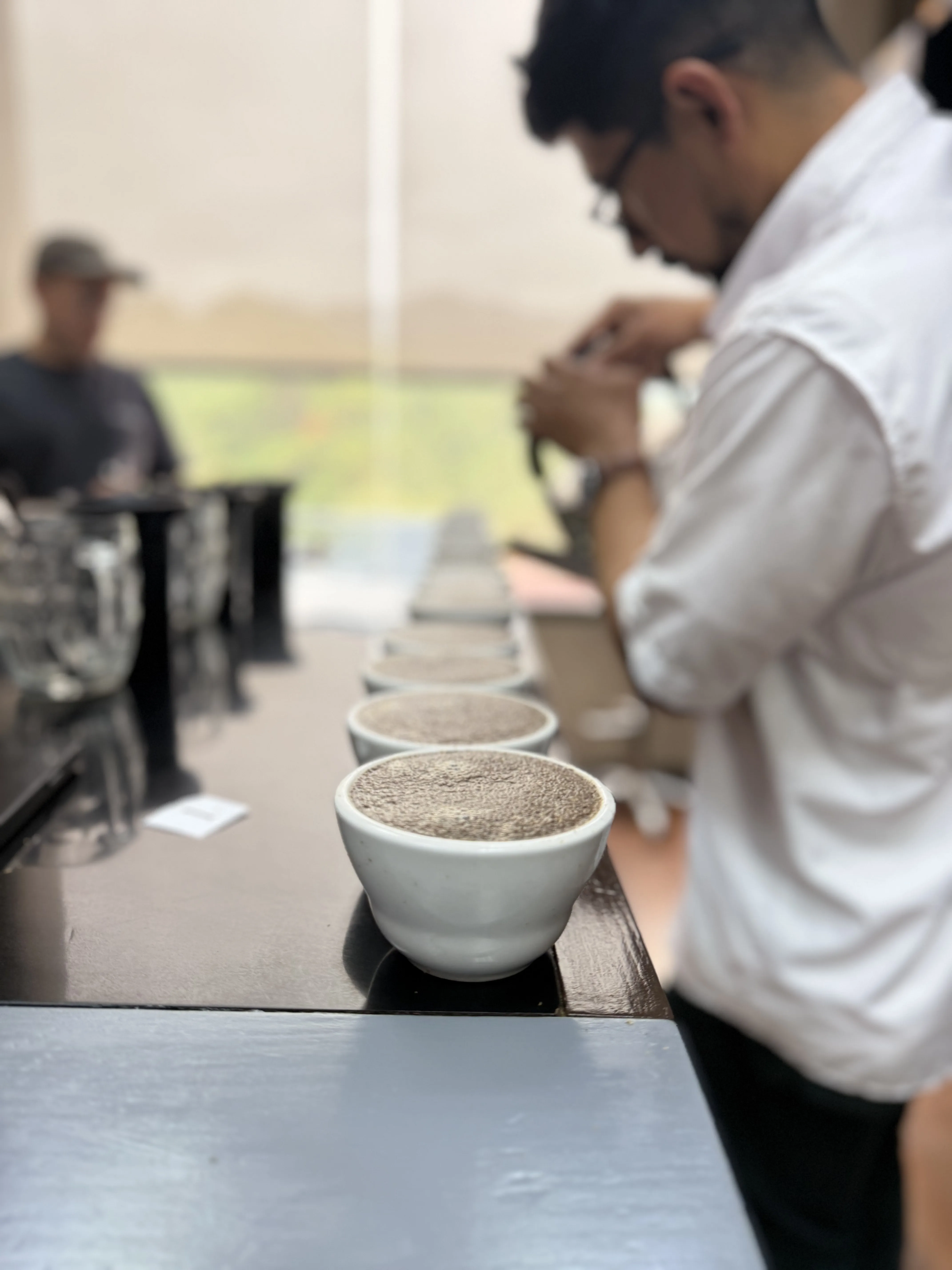 The Art of Cupping: How We Ensure Every Bean Meets Our Standard - photo 16