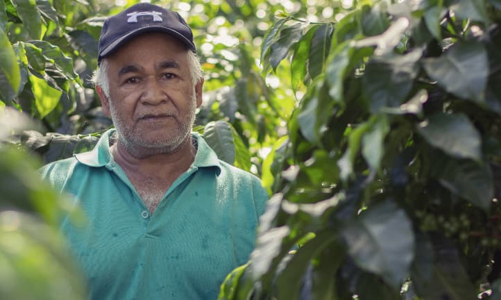 Don Gerardo Peñalva / Finca Azul Esmeralda / Marcala, La Paz, Honduras / 1500-1600 MASL